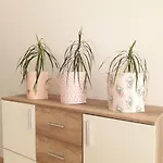 Traumapartment Poestlingberg, Reservierter Parkplatz, 4 Schlafzimmer